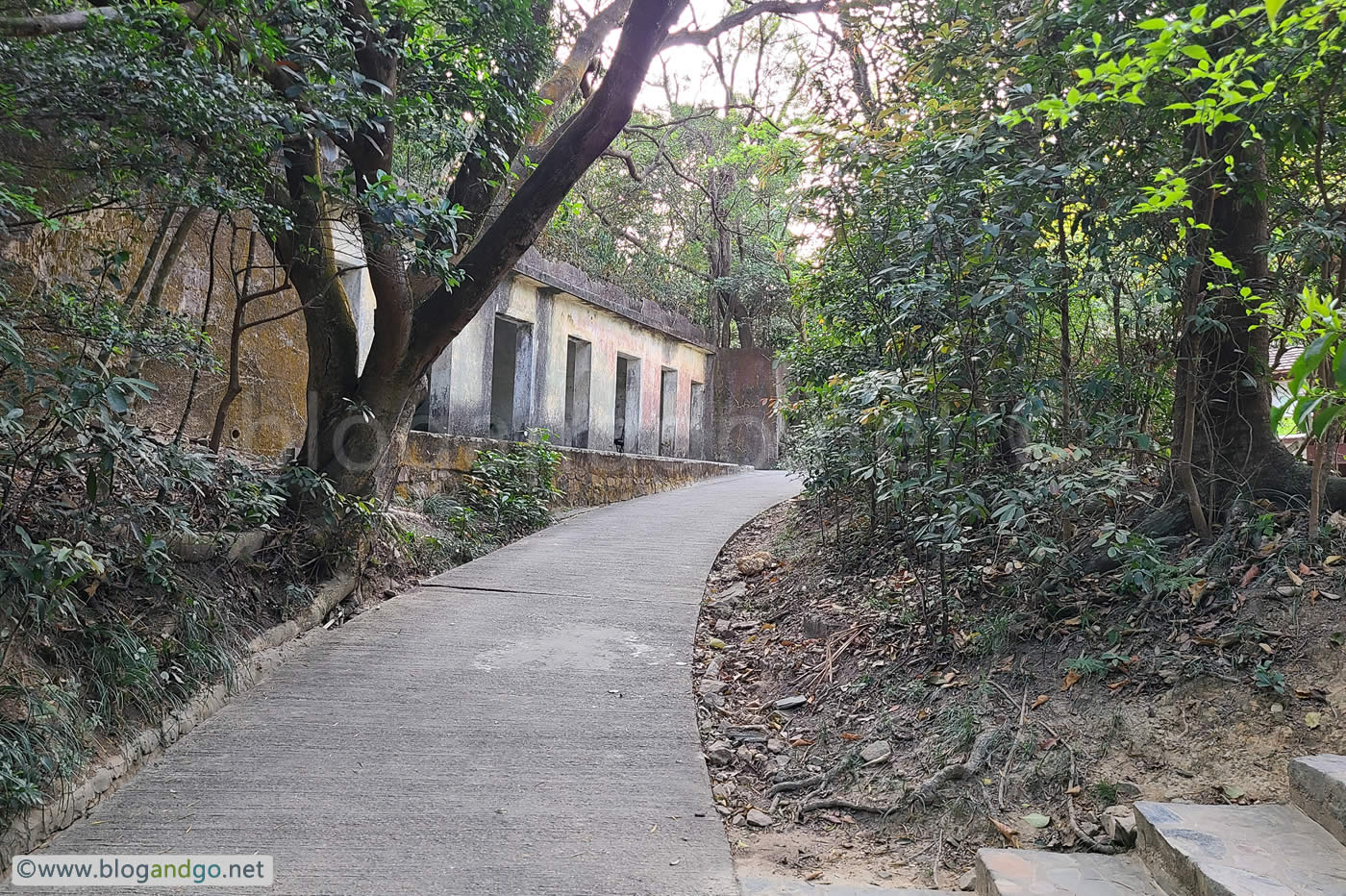 Pinewood Battery - Shelters